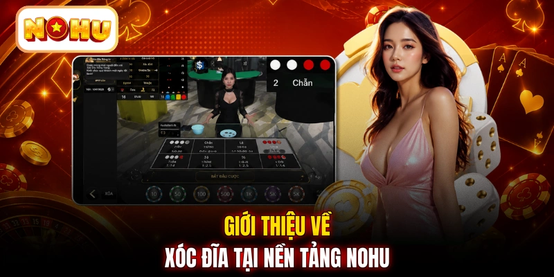 Giới thiệu về xóc đĩa tại nền tảng NOHU